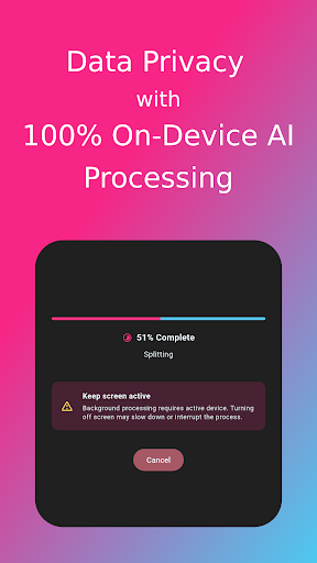 LocalSplit AI Vocals Remover