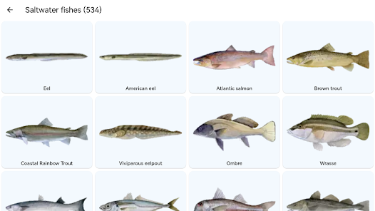 스크린샷 이미지