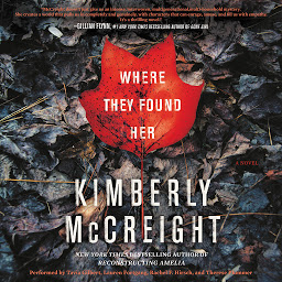 Obraz ikony: Where They Found Her: A Novel