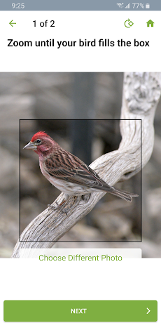 Merlin Bird ID by Cornell Labのおすすめ画像4