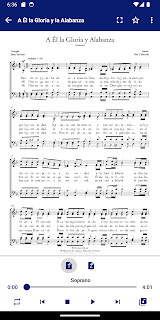 Coro LLDM Pro (LLDM Choir Pro)