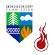 fiResponse Georgia Download on Windows