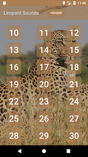 Leopard Soundboard Screen 2