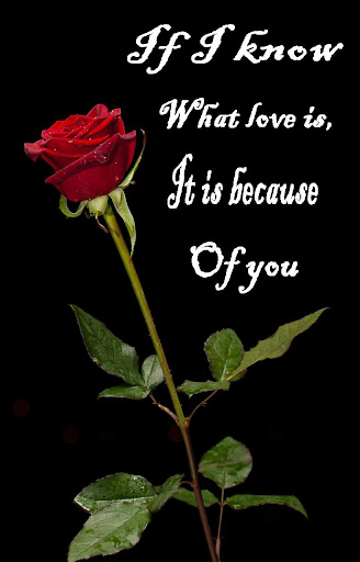 Romantic images, Gif flowers Screen 2