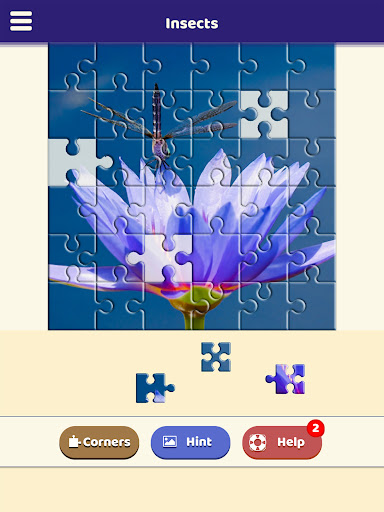 Insect Love Puzzle