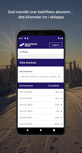 Sparebanken Norge Bedrift -Sør screenshot 6
