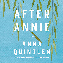 Icon image After Annie: A Novel