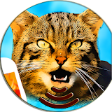 Cries Of Cats Sounds icon