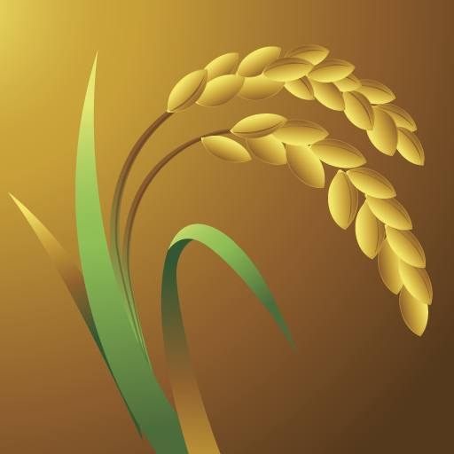 Conecta Massaranduba logo