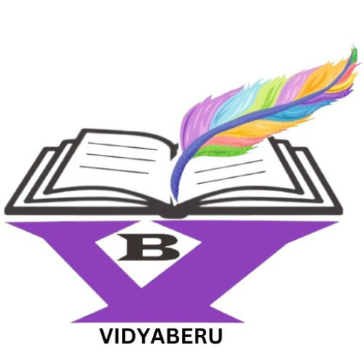 Vidyaberu Academy logo