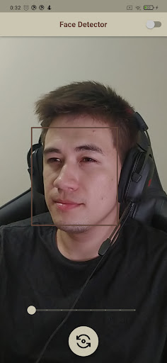 Face Detector Screen 3