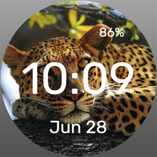 Resting Leopard - Watch Face Download on Windows