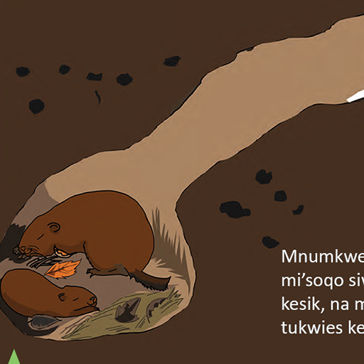 Mnumkwej Nakwekm