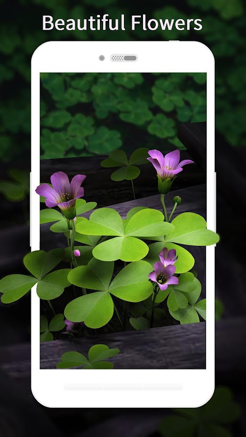 3D Flowers Live Wallpaper HDのおすすめ画像3
