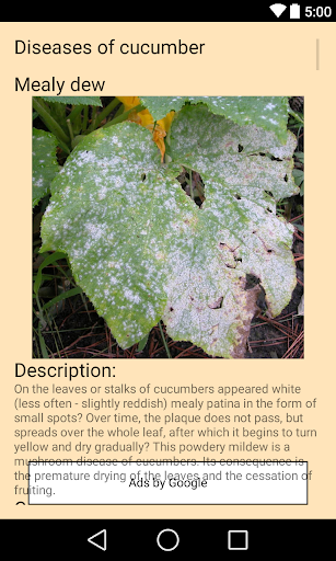 Android application cucumber (cucumber) screenshort