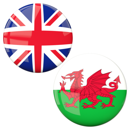 English to Welsh Translator logo