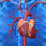 Cardiovascular System icon