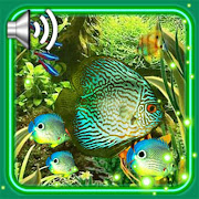 Top 30 Personalization Apps Like Aquarium Fishes LWP - Best Alternatives