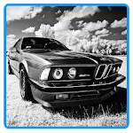 Cover Image of Download best gallery classic car hd wa  APK