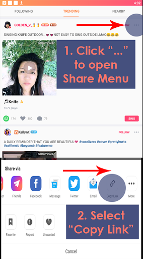 Sing Downloader for Starmaker