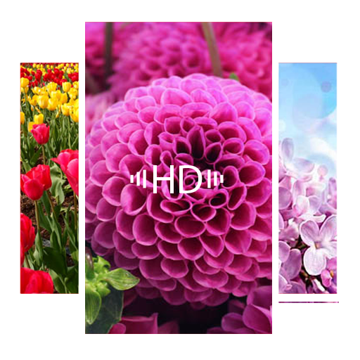 1000以上の花が壁紙をライブ Google Play のアプリ