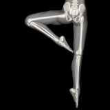 Anatomy for Artists: Ballet icon