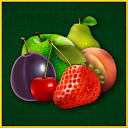 Download Fruits & Berries Install Latest APK downloader