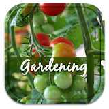 Home Vegetable Gardening Guide icon
