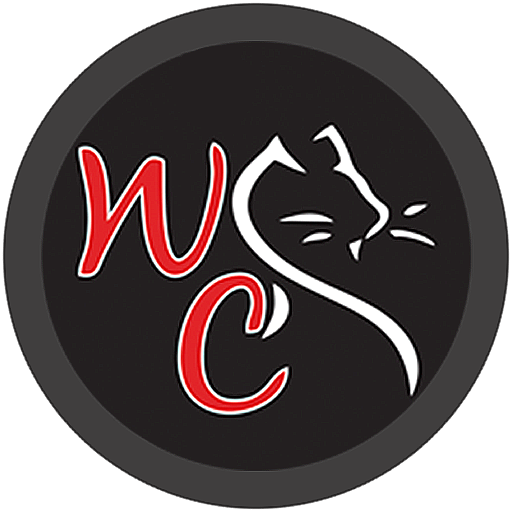 Meow App Header - AppWisp.com