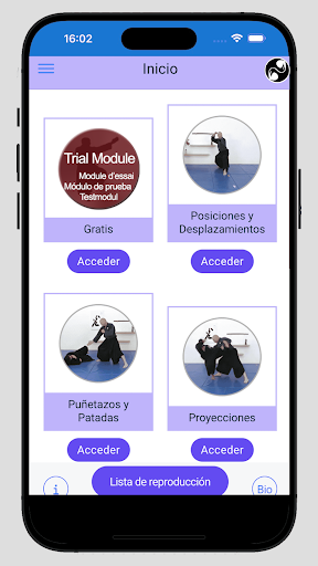 Vista previa de la aplicación