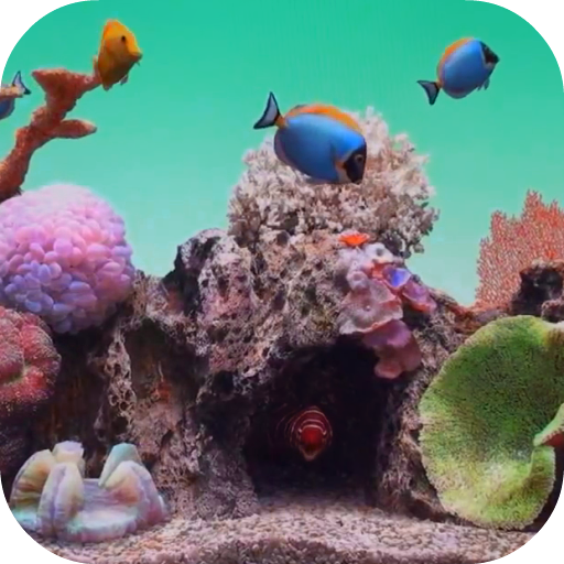 Seawater Aquarium Video Wallpa 2.0 Icon