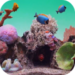 Seawater Aquarium Video Wallpaper Apk
