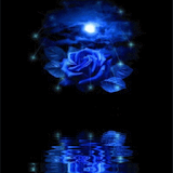 Blue Rose Reflected In Water L icon