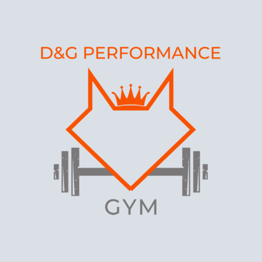 DGPerformance logo