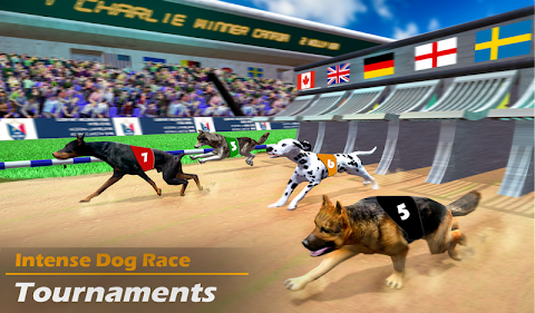 本物の犬のレースゲーム レーシングドッグシミュレーターのおすすめ画像4