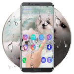 Cover Image of Download Cute Puppy Water Ripple LWP  APK