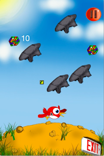 HummingBird Game APK