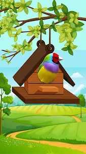 Bird Games – Jungle Adventure