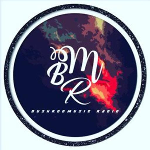 BushrodMusic RADIO logo