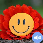 Cover Image of Download Laughter Sounds and Wallpapers 1.0.0 APK