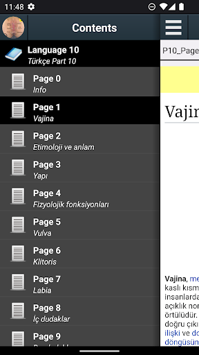 Uygulama önizlemesi