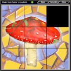 Magic Slide Puzzle Mushrooms 2 1.29