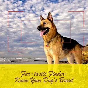 Dog breeds finder deals