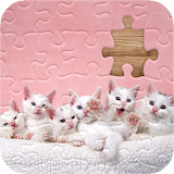 Kitten Jigsaw Puzzles icon