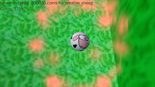 Roly Poly Sheep