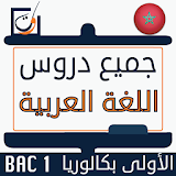 دروس العربية الأولى باكالوريا icon