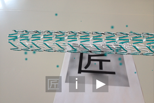Terumo DES Screen 3