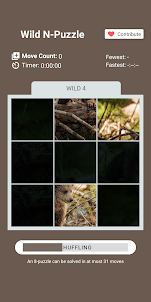 Wild N-Puzzle