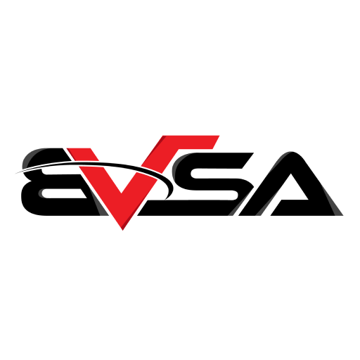 BV Sports Academy logo