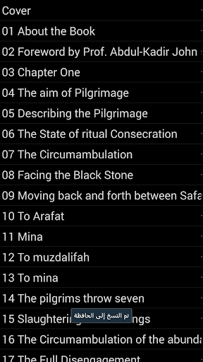 Pilgrimage (Hajj) Screen 2
